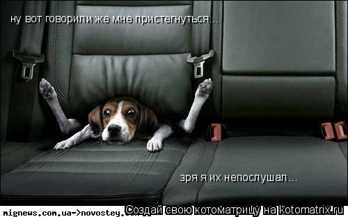 ну вот говорили же мне пристегнуться... зря я их непослушал...... Котоматрица: ну вот говорили же мне пристегнуться... зря я их непослушал...
