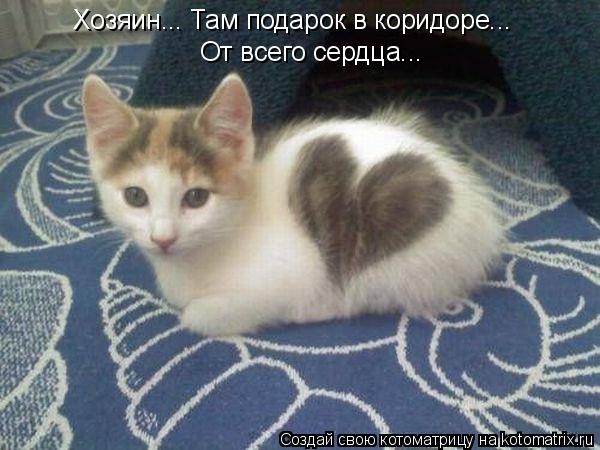 Хозяин... Там подарок в коридоре... От всего сердца...... Котоматрица: Хозяин... Там подарок в коридоре... От всего сердца...