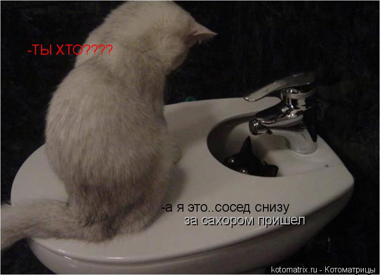 -ТЫ ХТО???? -а я это..сосед снизу за сахором пришел... Котоматрица: -ТЫ ХТО???? -а я это..сосед снизу за сахором пришел