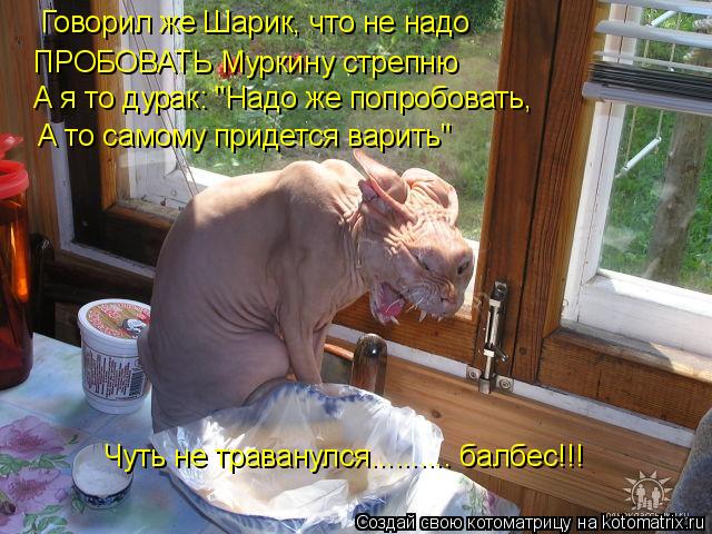 Говорил же Шарик, что не надо ПРОБОВАТЬ Муркину стрепню А я то дурак: "Надо же попробовать, А то сам... Котоматрица: Говорил же Шарик, что не надо ПРОБОВАТЬ Муркину стрепню А я то дурак: "Надо же попробовать, А то самому придется варить" Чуть не траванулся....