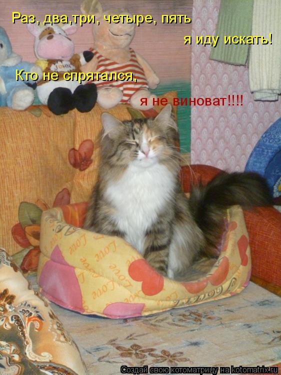 Рас, два,три, четыре, пять, я иду искать! Кто не спрятался, я не виноват!!! Раз, два,три, четыре, пят... Котоматрица: Рас, два,три, четыре, пять, я иду искать! Кто не спрятался, я не виноват!!! Раз, два,три, четыре, пять я иду искать! Кто не спрятался, я не виноват!!