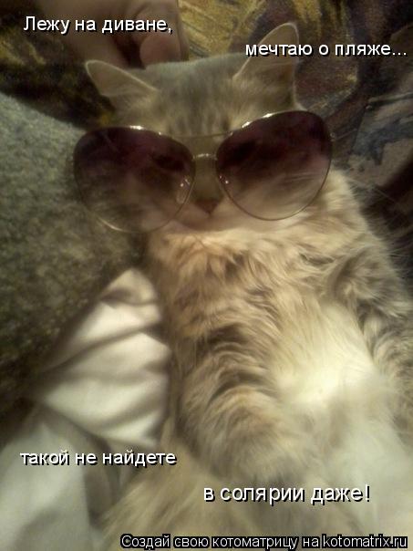 Лежу на диване, мечтаю о пляже... такой не найдете в солярии даже!... Котоматрица: Лежу на диване, мечтаю о пляже... такой не найдете в солярии даже!