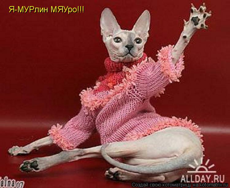 Я-МУРлин МЯУро!!!... Котоматрица: Я-МУРлин МЯУро!!!