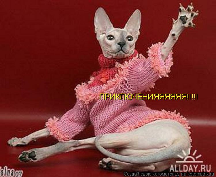 ПРИКЛЮЧЕНИЯЯЯЯЯЯ!!!!!... Котоматрица: ПРИКЛЮЧЕНИЯЯЯЯЯЯ!!!!!