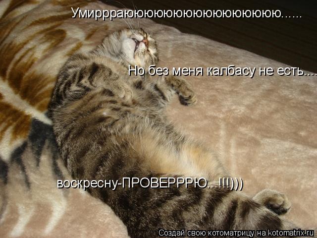 Умиррраюююююююююююююююю...... Но без меня калбасу не есть...... воскресну-ПРОВЕРРРЮ...!!!)))... Котоматрица: Умиррраюююююююююююююююю...... Но без меня калбасу не есть...... воскресну-ПРОВЕРРРЮ...!!!)))