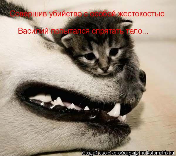 Совершив убийство с особой жестокостью Василий попытался спрятать тело...... Котоматрица: Совершив убийство с особой жестокостью Василий попытался спрятать тело...