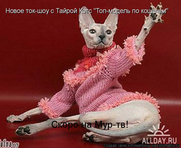 Скоро на Мур-тв! Новое ток-шоу с Тайрой Кэтс "Топ-модель по кошачьи"... Котоматрица: Скоро на Мур-тв! Новое ток-шоу с Тайрой Кэтс "Топ-модель по кошачьи"
