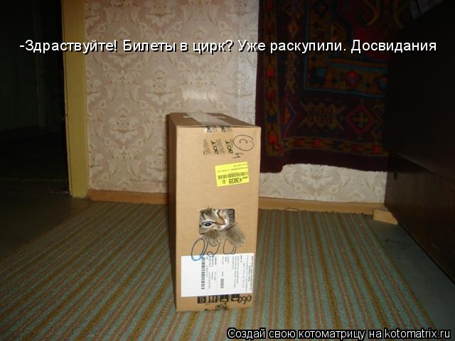 -Здраствуйте! Билеты в цирк? Уже раскупили. Досвидания... Котоматрица: -Здраствуйте! Билеты в цирк? Уже раскупили. Досвидания