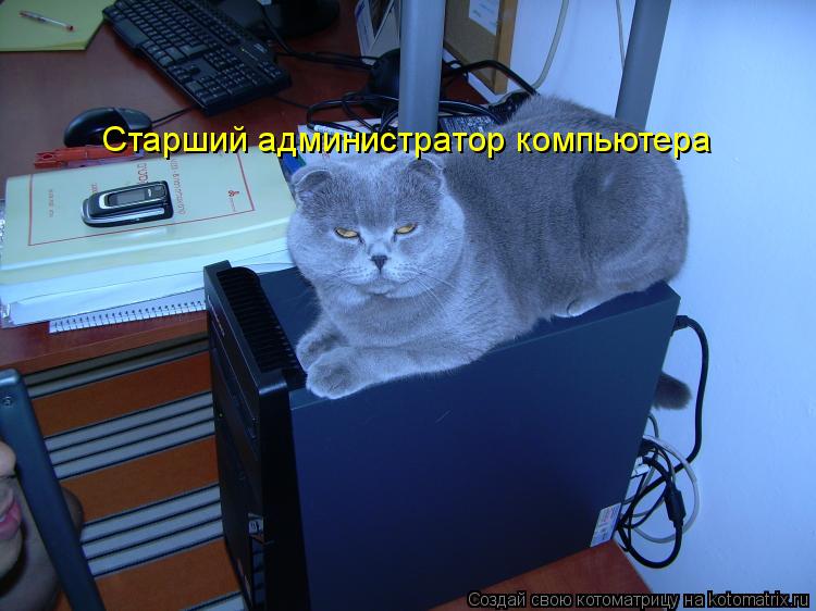 Старший администратор компьютера Старший администратор компьютера Старший администратор компьютера... Котоматрица: Старший администратор компьютера Старший администратор компьютера Старший администратор компьютера