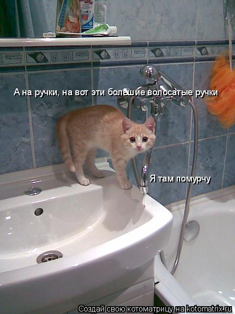 А на ручки, на вот эти большие волосатые ручки Я там помурчу... Котоматрица: А на ручки, на вот эти большие волосатые ручки Я там помурчу