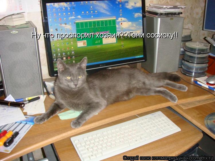 Ну что проспорил хозяин??Гони сосиску!!... Котоматрица: Ну что проспорил хозяин??Гони сосиску!!