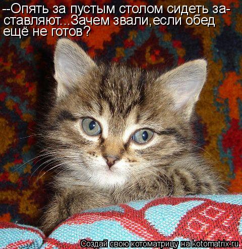 --Опять за пустым столом сидеть за- ставляют...Зачем звали,если обед ещё не готов?... Котоматрица: --Опять за пустым столом сидеть за- ставляют...Зачем звали,если обед ещё не готов?
