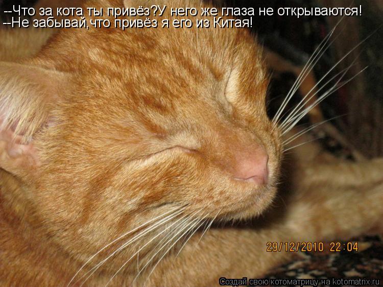 --Что за кота ты привёз?У него же глаза не открываются! --Не забывай,что привёз я его из Китая!... Котоматрица: --Что за кота ты привёз?У него же глаза не открываются! --Не забывай,что привёз я его из Китая!