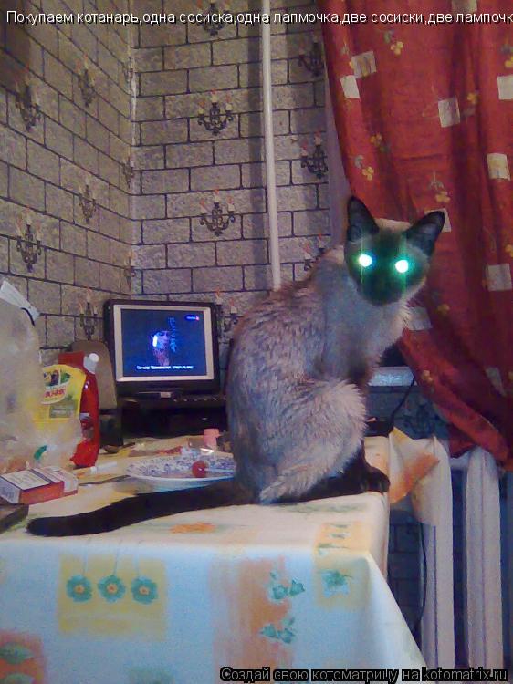 Покупаем котанарь,одна сосиска,одна лапмочка,две сосиски,две лампочки!... Котоматрица: Покупаем котанарь,одна сосиска,одна лапмочка,две сосиски,две лампочки!