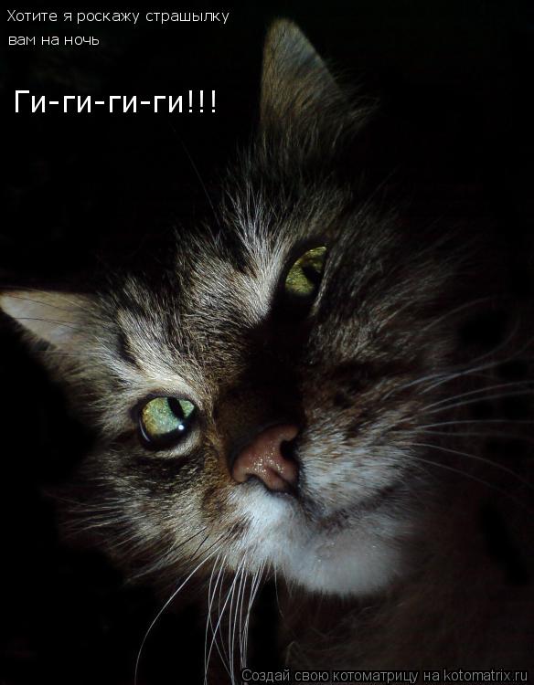Хотите я роскажу страшылку вам на ночь Ги-ги-ги-ги!!!... Котоматрица: Хотите я роскажу страшылку вам на ночь Ги-ги-ги-ги!!!