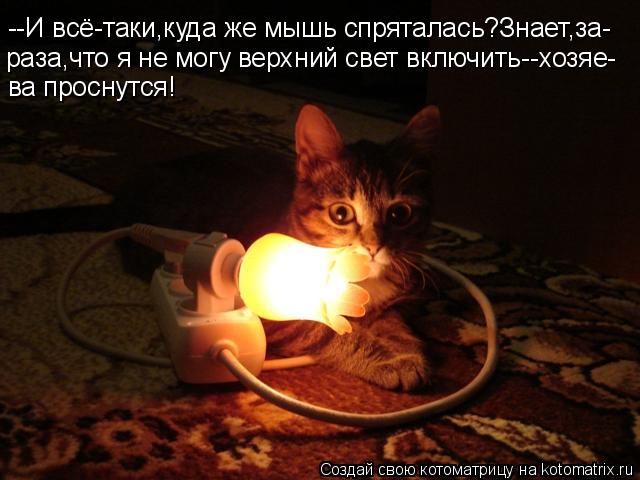 --И всё-таки,куда же мышь спряталась?Знает,за- раза,что я не могу верхний свет включить--хозяе- ва пр... Котоматрица: --И всё-таки,куда же мышь спряталась?Знает,за- раза,что я не могу верхний свет включить--хозяе- ва проснутся!