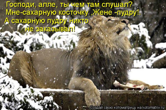 А сахарную пудру никто не заказывал! Мне-сахарную косточку ,Жене -пудру!. Господи, алле, ты чем там... Котоматрица: А сахарную пудру никто не заказывал! Мне-сахарную косточку ,Жене -пудру!. Господи, алле, ты чем там слушал?