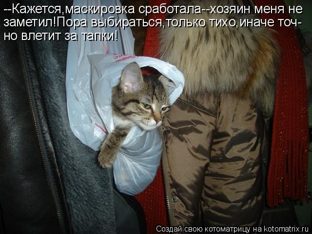 --Кажется,маскировка сработала--хозяин меня не заметил!Пора выбираться,только тихо,иначе точ- но влет... Котоматрица: --Кажется,маскировка сработала--хозяин меня не заметил!Пора выбираться,только тихо,иначе точ- но влетит за тапки!