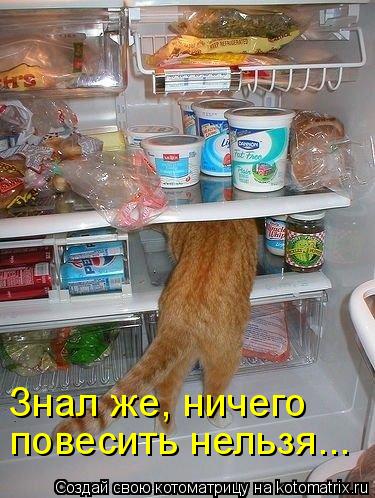 Знал же, ничего повесить нельзя...... Котоматрица: Знал же, ничего повесить нельзя...