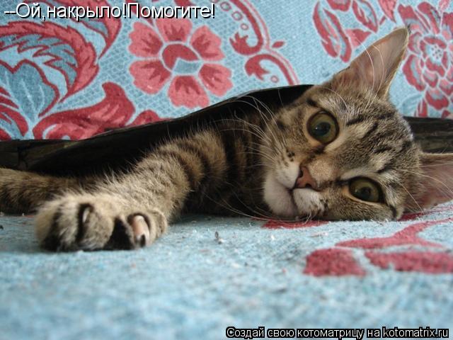 --Ой,накрыло!Помогите!... Котоматрица: --Ой,накрыло!Помогите!