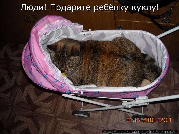 Люди! Подарите ребёнку куклу!... Котоматрица: Люди! Подарите ребёнку куклу!