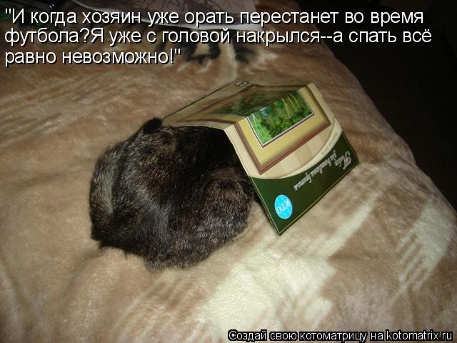 "И когда хозяин уже орать перестанет во время футбола?Я уже с головой накрылся--а спать всё равно нев... Котоматрица: "И когда хозяин уже орать перестанет во время футбола?Я уже с головой накрылся--а спать всё равно невозможно!"