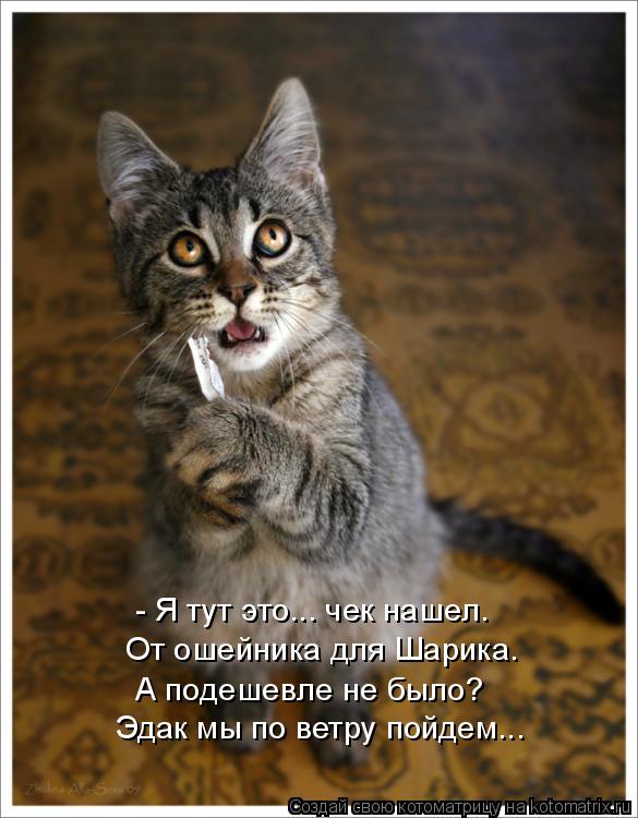 - Я тут это... чек нашел. От ошейника для Шарика. А подешевле не было? Эдак мы по ветру пойдем...... Котоматрица: - Я тут это... чек нашел. От ошейника для Шарика. А подешевле не было? Эдак мы по ветру пойдем...