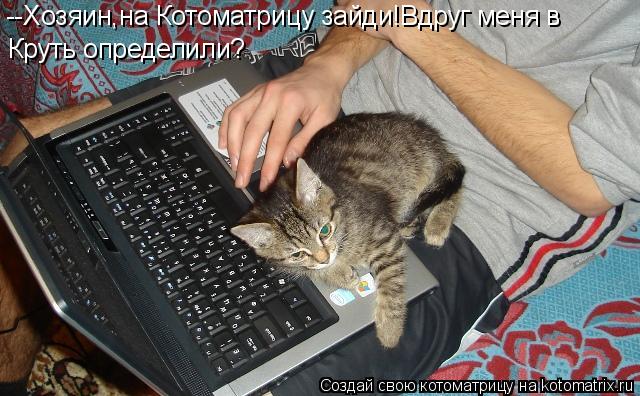 --Хозяин,на Котоматрицу зайди!Вдруг меня в Круть определили?... Котоматрица: --Хозяин,на Котоматрицу зайди!Вдруг меня в Круть определили?