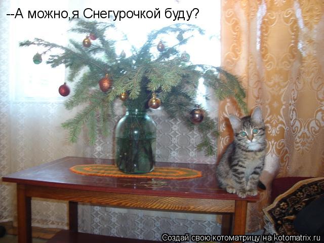 --А можно,я Снегурочкой буду?... Котоматрица: --А можно,я Снегурочкой буду?
