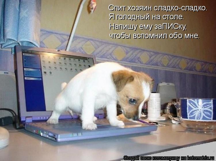 Спит хозяин сладко-сладко. Я голодный на столе. Напишу ему заПИСку, чтобы вспомнил обо мне.... Котоматрица: Спит хозяин сладко-сладко. Я голодный на столе. Напишу ему заПИСку, чтобы вспомнил обо мне.