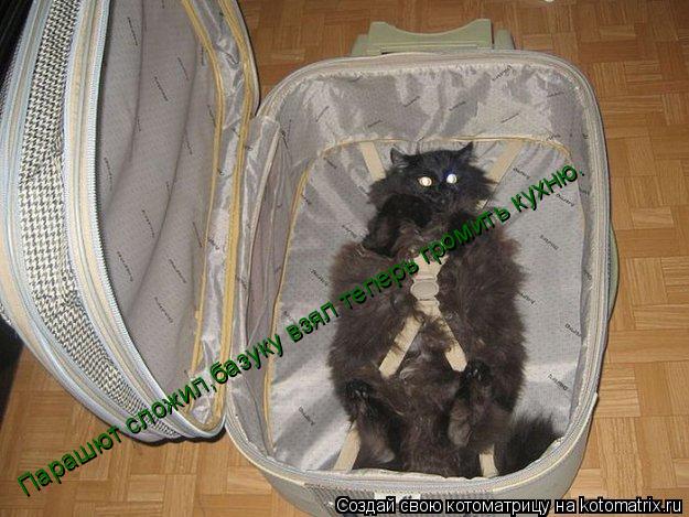Парашют сложил,базуку взял теперь громить кухню.... Котоматрица: Парашют сложил,базуку взял теперь громить кухню.