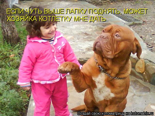 ЕСЛИ ЧУТЬ ВЫШЕ ЛАПКУ ПОДНЯТЬ, МОЖЕТ ЕСЛИ ЧУТЬ ВЫШЕ ЛАПКУ ПОДНЯТЬ, МОЖЕТ ХОЗЯЙКА КОТЛЕТКУ МНЕ ДАТЬ... Котоматрица: ЕСЛИ ЧУТЬ ВЫШЕ ЛАПКУ ПОДНЯТЬ, МОЖЕТ ЕСЛИ ЧУТЬ ВЫШЕ ЛАПКУ ПОДНЯТЬ, МОЖЕТ ХОЗЯЙКА КОТЛЕТКУ МНЕ ДАТЬ
