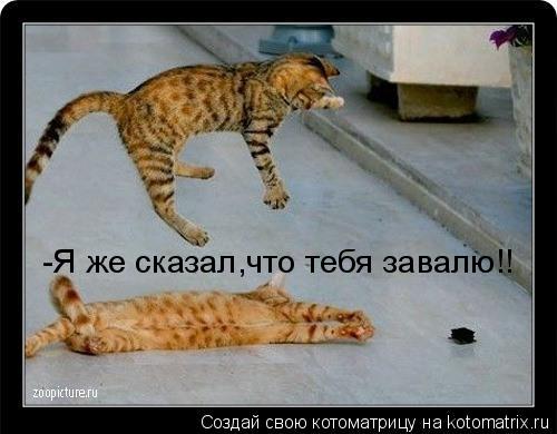 -Я же сказал,что тебя завалю!!... Котоматрица: -Я же сказал,что тебя завалю!!