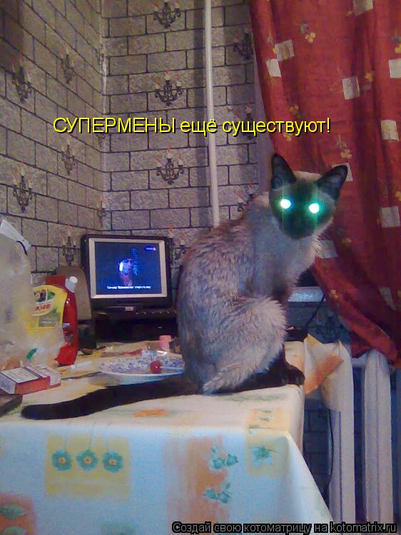 СУПЕРМЕНЫ ещё существуют!... Котоматрица: СУПЕРМЕНЫ ещё существуют!