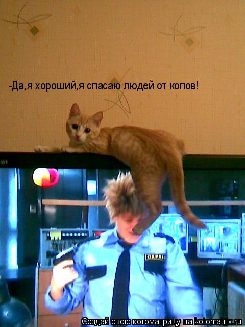 -Да,я хороший,я спасаю людей от копов!... Котоматрица: -Да,я хороший,я спасаю людей от копов!