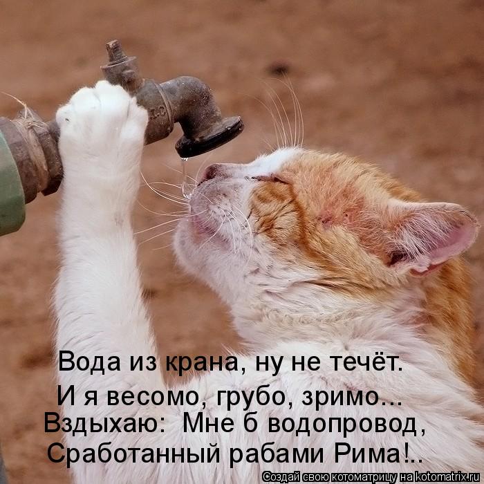 Вода из крана, ну не течёт… И я весомо, грубо, зримо... Вздыхаю: «Мне б водопровод, Сработанный рабам... Котоматрица: Вода из крана, ну не течёт… И я весомо, грубо, зримо... Вздыхаю: «Мне б водопровод, Сработанный рабами Рима!..»