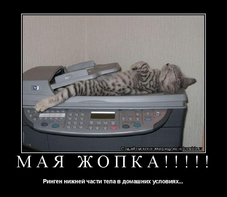 МАЯ ЖОПКА!!!!! Ринген нижней части тела в домашних условиях...... Котоматрица: МАЯ ЖОПКА!!!!! Ринген нижней части тела в домашних условиях...