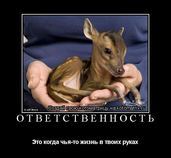 ОТВЕТСТВЕННОСТЬ Это когда чья-то жизнь в твоих руках... Котоматрица: ОТВЕТСТВЕННОСТЬ Это когда чья-то жизнь в твоих руках