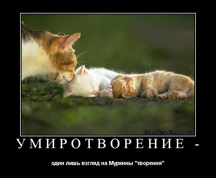 Котоматрица: УМИРОТВОРЕНИЕ - один лишь взгляд на Муркины "творения"