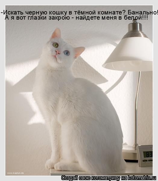 -Искать черную кошку в тёмной комнате? Банально! А я вот глазки закрою - найдете меня в белой!!!... Котоматрица: -Искать черную кошку в тёмной комнате? Банально! А я вот глазки закрою - найдете меня в белой!!!