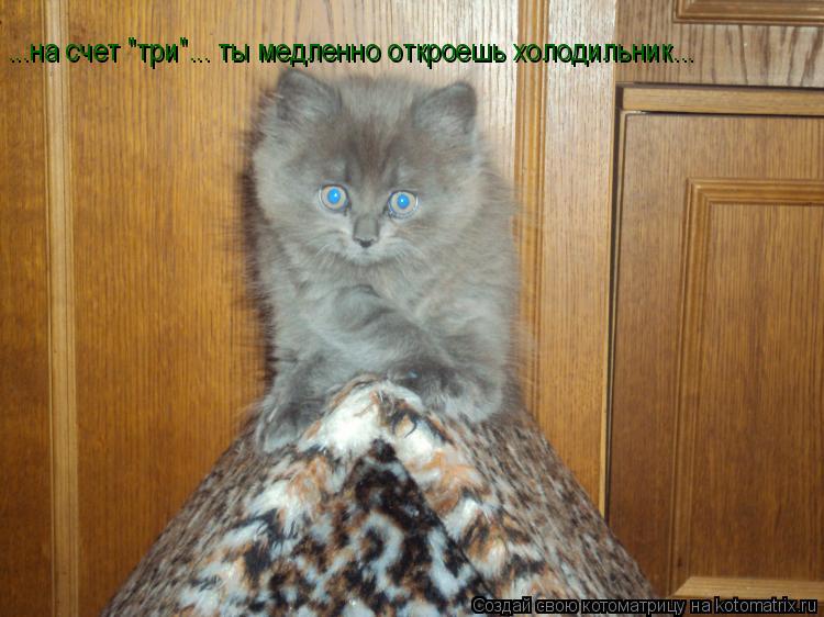 ...на счет "три"... ты медленно откроешь холодильник...... Котоматрица: ...на счет "три"... ты медленно откроешь холодильник...