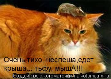 Очень тихо, неспеша,едет крыша... тьфу, мышА!!!... Котоматрица: Очень тихо, неспеша,едет крыша... тьфу, мышА!!!