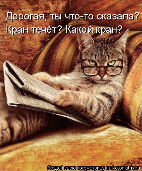 Дорогая, ты что-то сказала? Кран течёт? Какой кран?... Котоматрица: Дорогая, ты что-то сказала? Кран течёт? Какой кран?