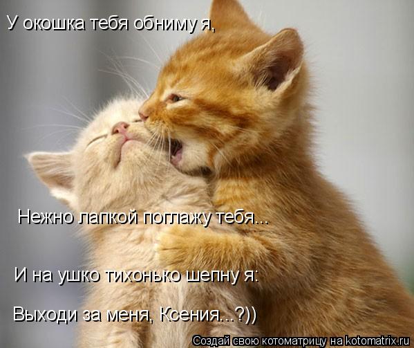 У окошка тебя обниму я, Нежно лапкой поглажу тебя... И на ушко тихонько шепну я: Выходи за меня, Ксен... Котоматрица: У окошка тебя обниму я, Нежно лапкой поглажу тебя... И на ушко тихонько шепну я: Выходи за меня, Ксения...?))