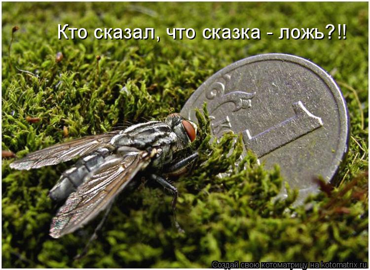 Кто сказал, что сказка - ложь?!!... Котоматрица: Кто сказал, что сказка - ложь?!!