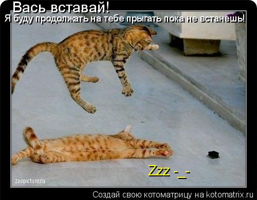 Вась вставай! Я буду продолжать на тебе прыгать пока не встанешь! Zzz -_-... Котоматрица: Вась вставай! Я буду продолжать на тебе прыгать пока не встанешь! Zzz -_-