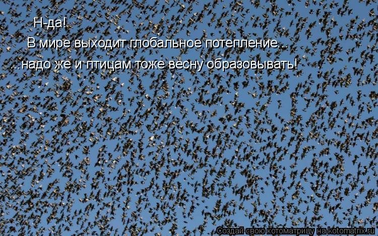Н-да! В мире выходит глобальное потепление... ...надо же и птицам тоже весну образовывать!... Котоматрица: Н-да! В мире выходит глобальное потепление... ...надо же и птицам тоже весну образовывать!