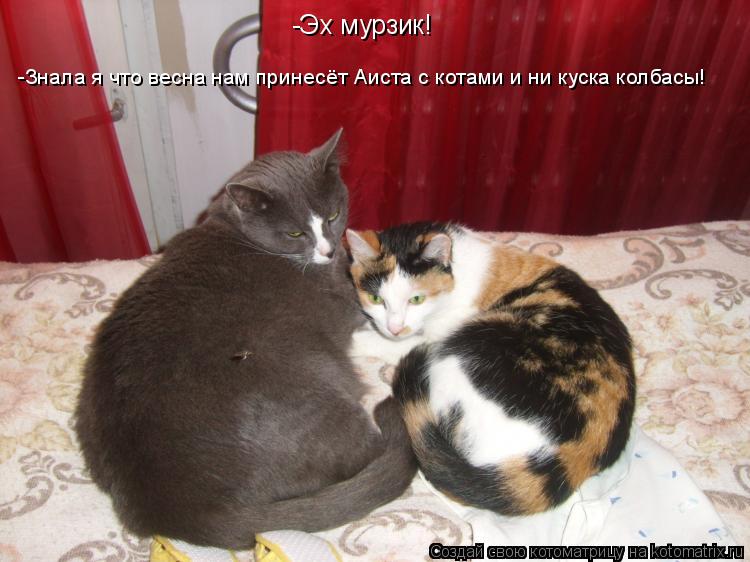 -Эх мурзик! -Знала я что весна нам принесёт Аиста с котами и ни куска колбасы!... Котоматрица: -Эх мурзик! -Знала я что весна нам принесёт Аиста с котами и ни куска колбасы!