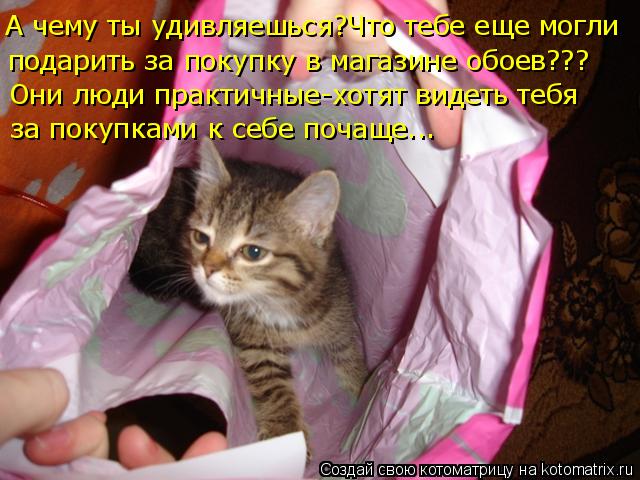 А чему ты удивляешься?Что тебе еще могли подарить за покупку в магазине обоев??? Они люди практичные-... Котоматрица: А чему ты удивляешься?Что тебе еще могли подарить за покупку в магазине обоев??? Они люди практичные-хотят видеть тебя за покупками к себе п