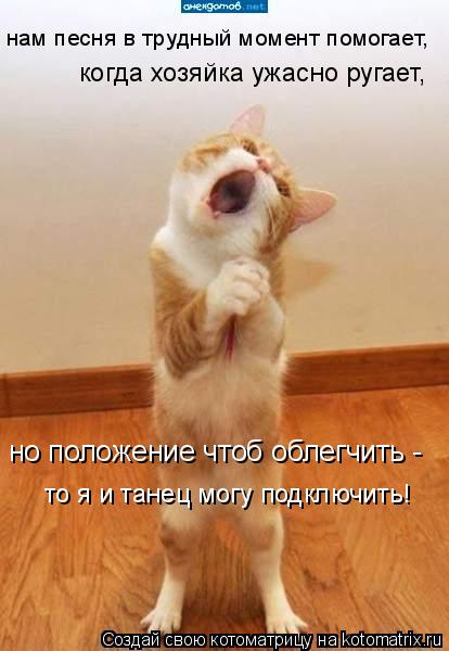 нам песня в трудный момент помогает, когда хозяйка ужасно ругает, то я и танец могу подключить! но ... Котоматрица: нам песня в трудный момент помогает, когда хозяйка ужасно ругает, то я и танец могу подключить! но положение чтоб облегчить -